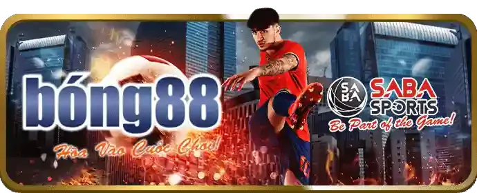 Cá cược dựa trên phân tích, không cảm tính